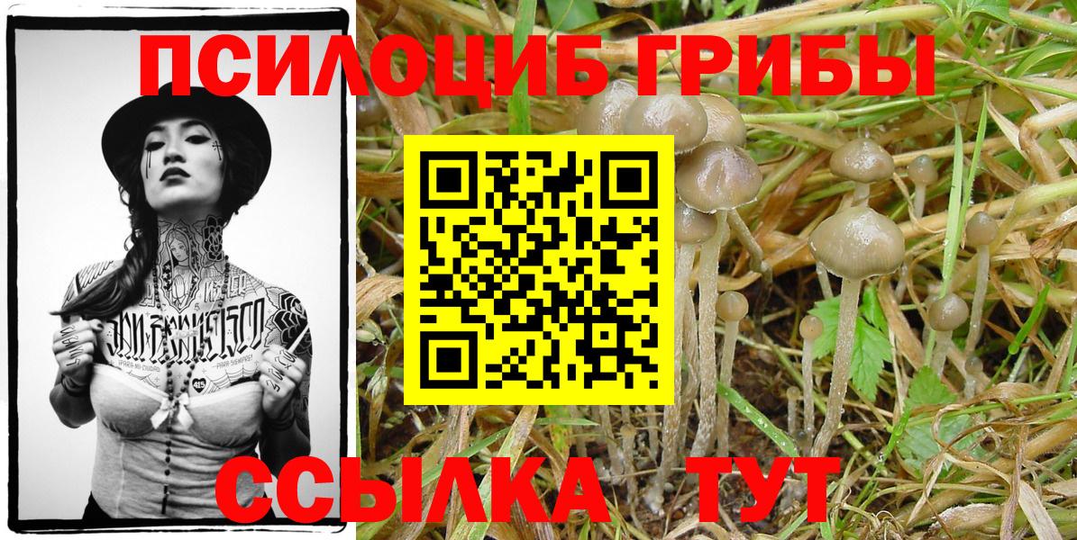 Галлюциногенные грибы GOLDEN TEACHER Кузнецк