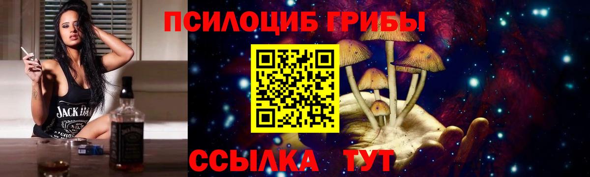 Кузнецк  Псилоцибиновые грибы Psilocybine cubensis  Вход с VPN  Псилоцибиновые грибы Magic Shrooms 